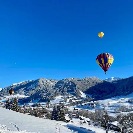 Charming New In * Praz-sur-Arly